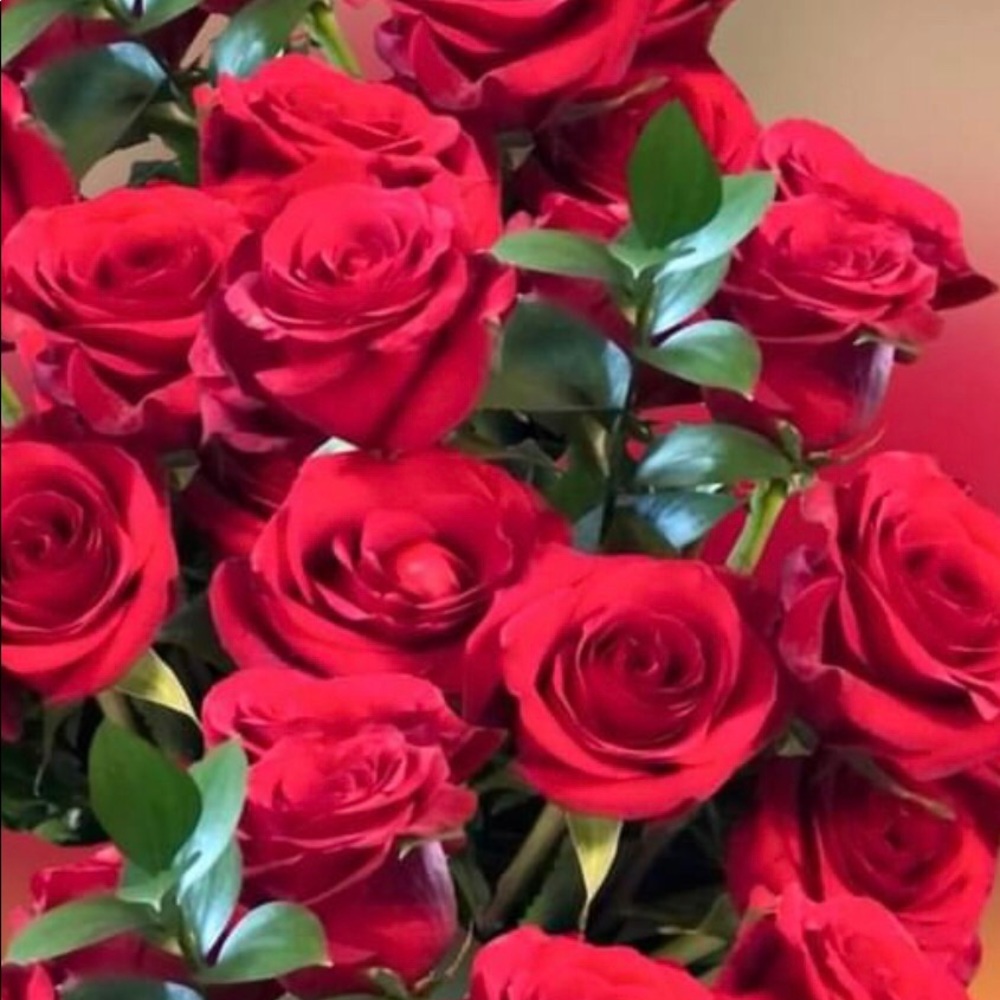 Meet your Posher, Dee